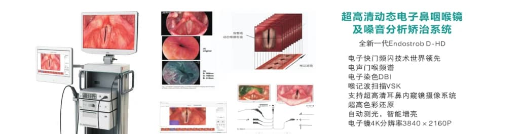 德国XION 动态电子喉镜及嗓音分析系统
