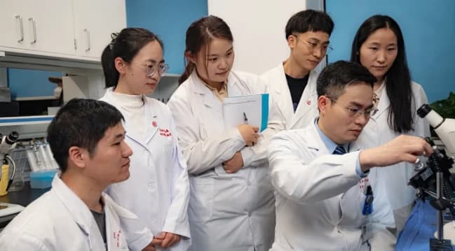 先天性耳聋基因疗法获重大突破，复旦团队研发耳聋基因治疗药物，让多位耳聋患者恢复听力